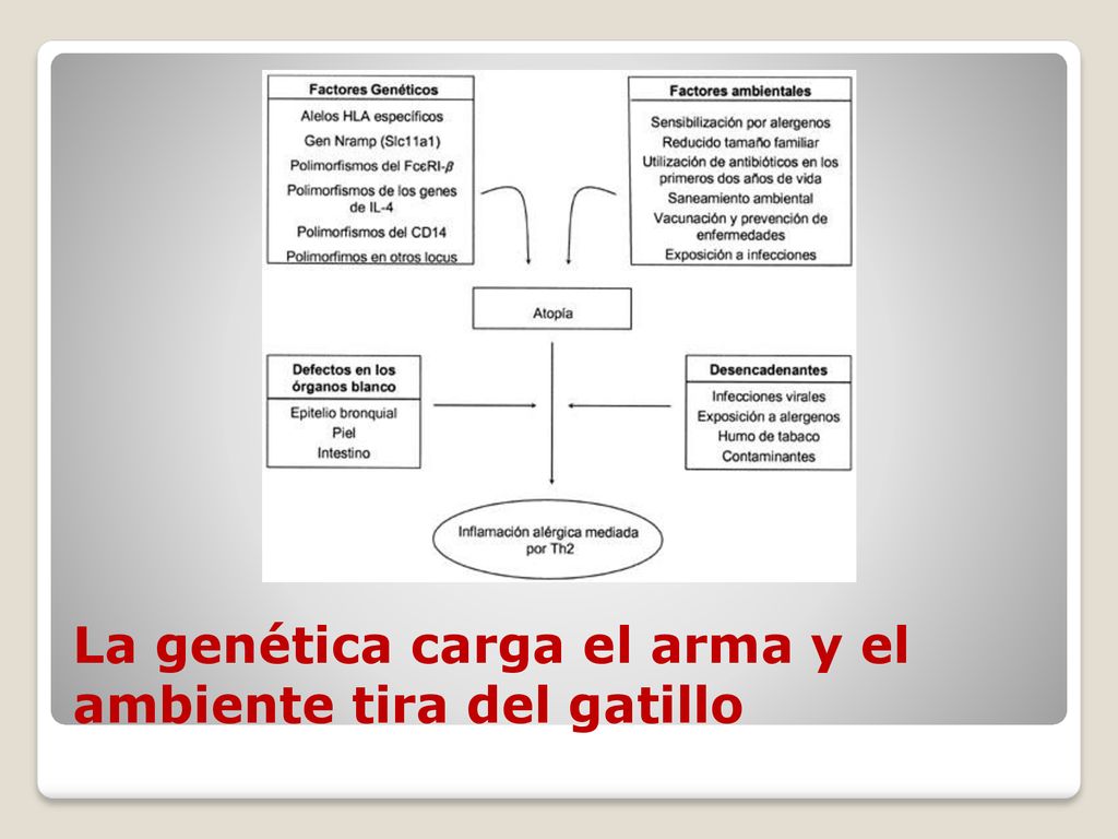 La genética carga el arma y el ambiente tira del gatillo