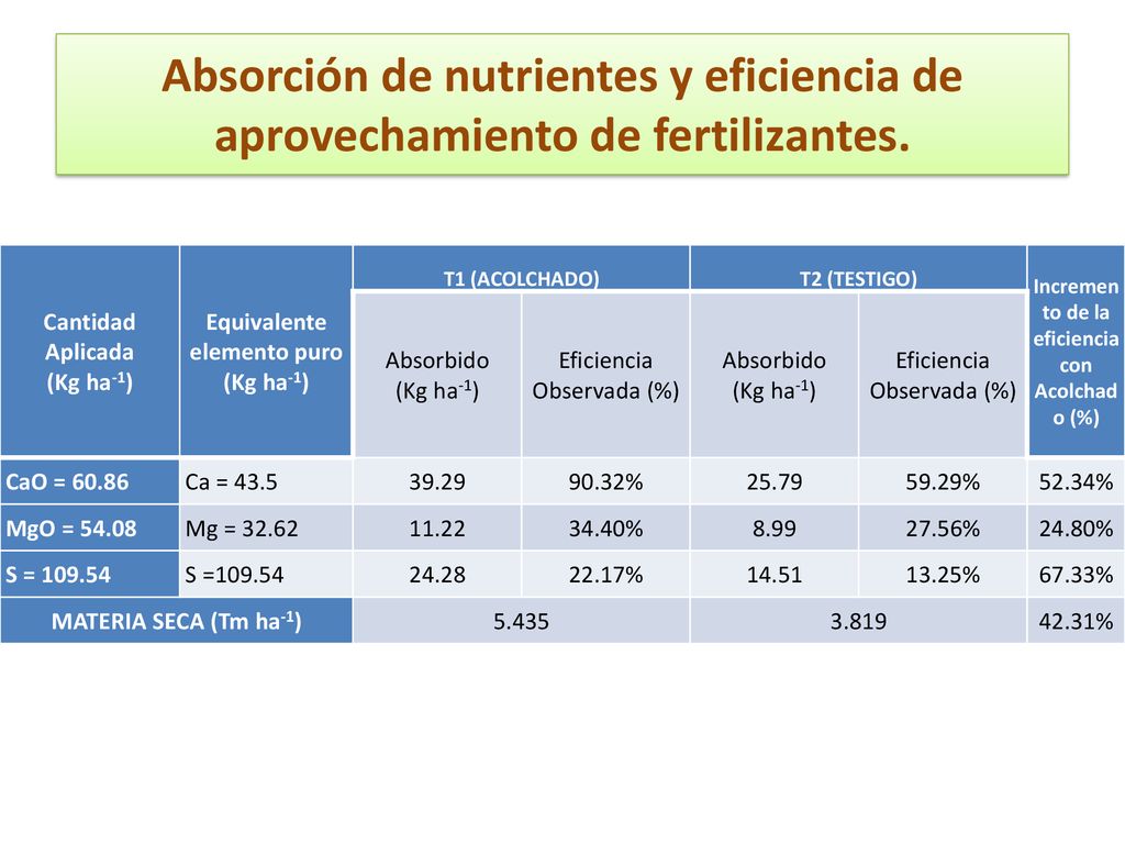 Absorción de nutrientes y eficiencia de aprovechamiento de fertilizantes.