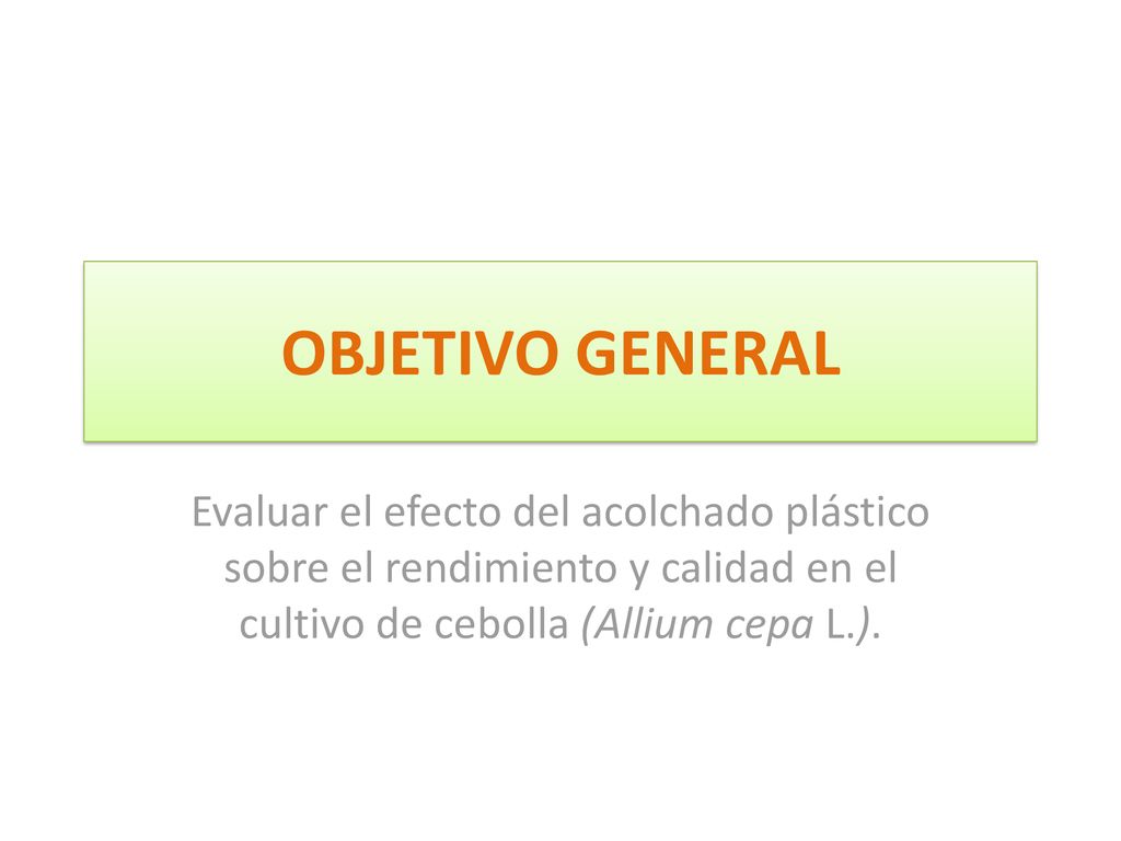 OBJETIVO GENERAL Evaluar el efecto del acolchado plástico sobre el rendimiento y calidad en el cultivo de cebolla (Allium cepa L.).