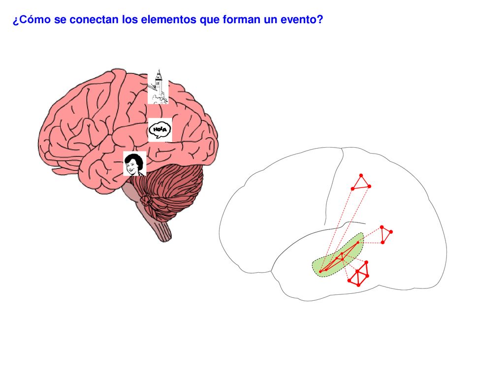 ¿Cómo se conectan los elementos que forman un evento
