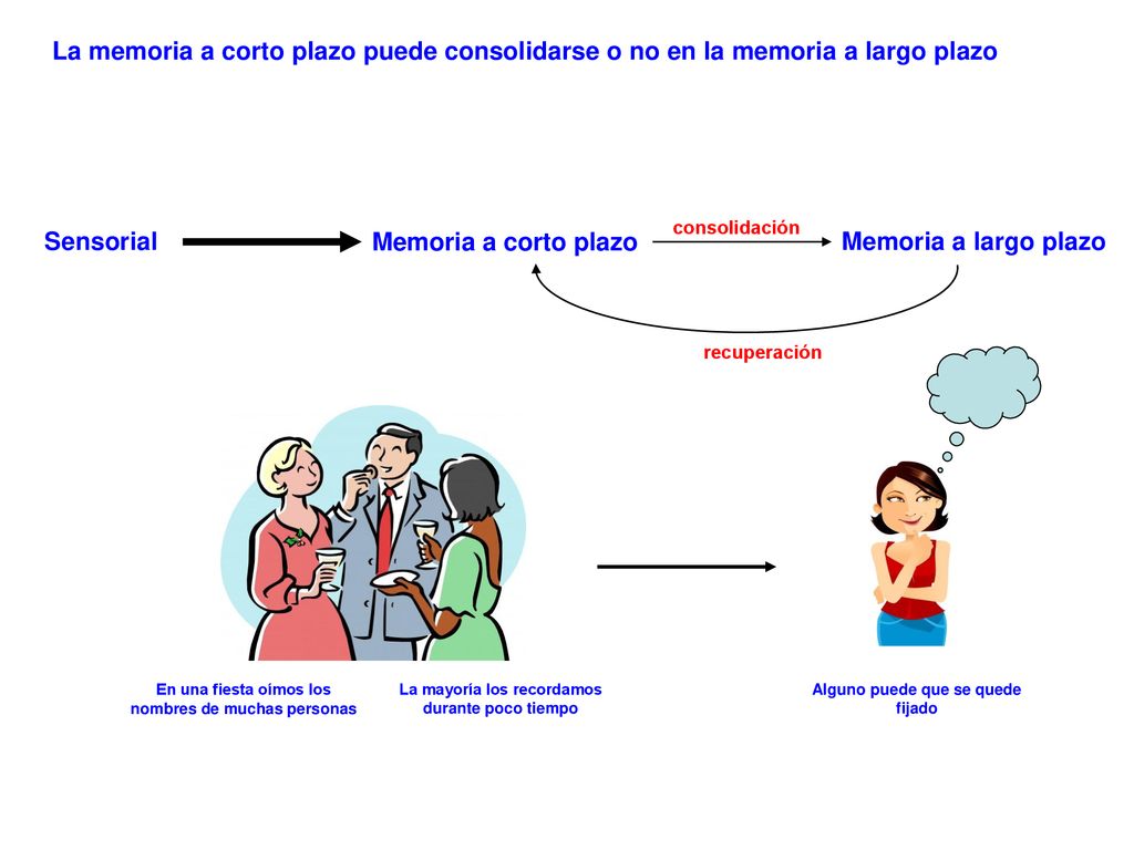 Sensorial Memoria a corto plazo Memoria a largo plazo