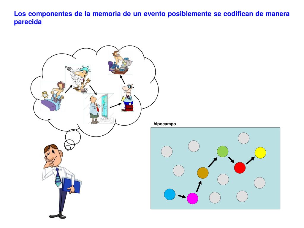 Los componentes de la memoria de un evento posiblemente se codifican de manera parecida