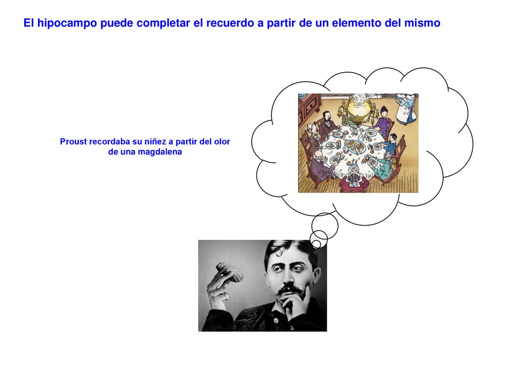 Proust recordaba su niñez a partir del olor de una magdalena