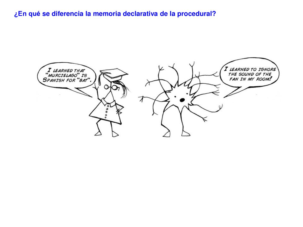 ¿En qué se diferencia la memoria declarativa de la procedural