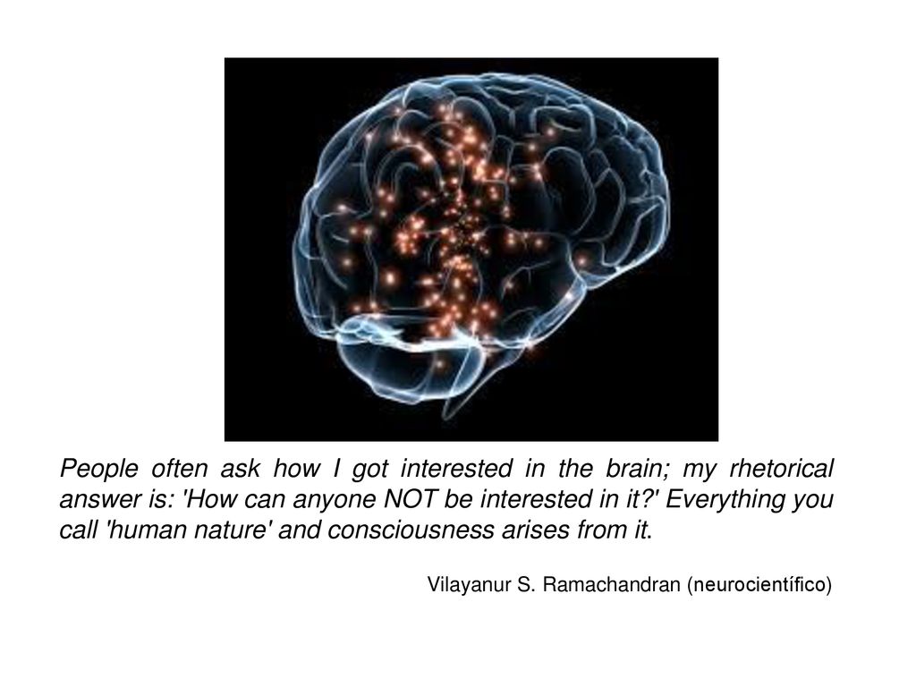 People often ask how I got interested in the brain; my rhetorical answer is: How can anyone NOT be interested in it Everything you call human nature and consciousness arises from it.
