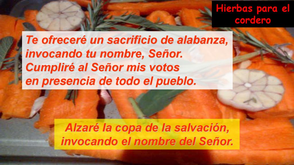 Alzaré la copa de la salvación, invocando el nombre del Señor.