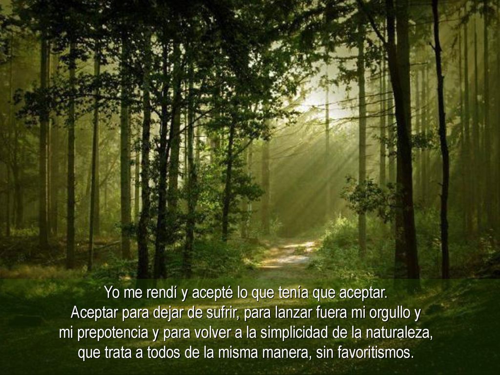 Yo me rendí y acepté lo que tenía que aceptar.