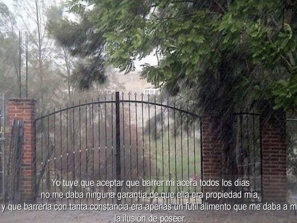 Yo tuve que aceptar que barrer mi acera todos los días no me daba ninguna garantía de que ella era propiedad mía,