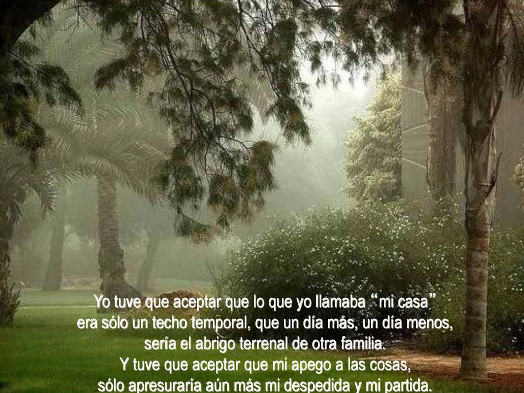 Yo tuve que aceptar que lo que yo llamaba mi casa era sólo un techo temporal, que un día más, un día menos,