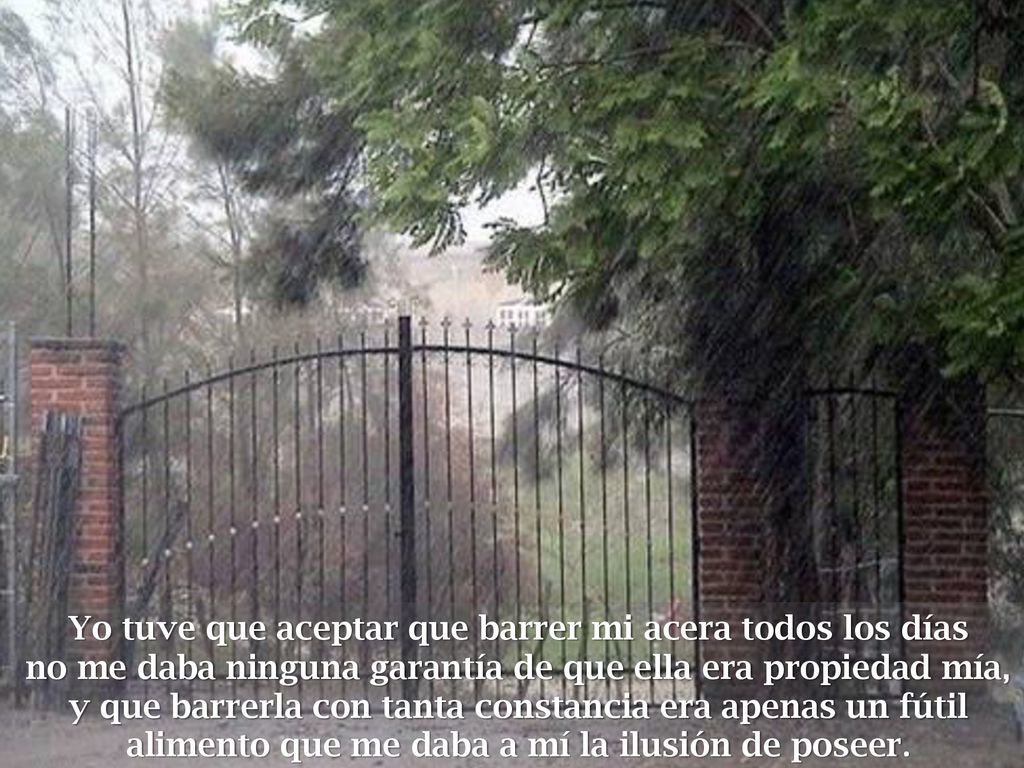 Yo tuve que aceptar que barrer mi acera todos los días no me daba ninguna garantía de que ella era propiedad mía,