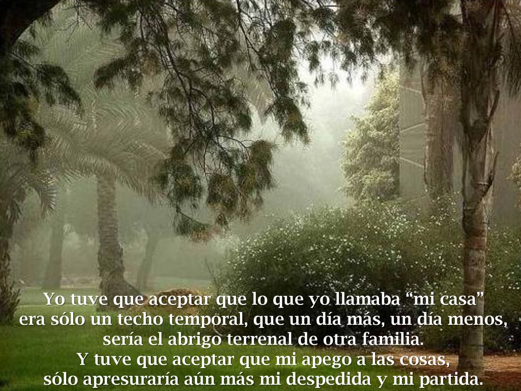 Yo tuve que aceptar que lo que yo llamaba mi casa era sólo un techo temporal, que un día más, un día menos,