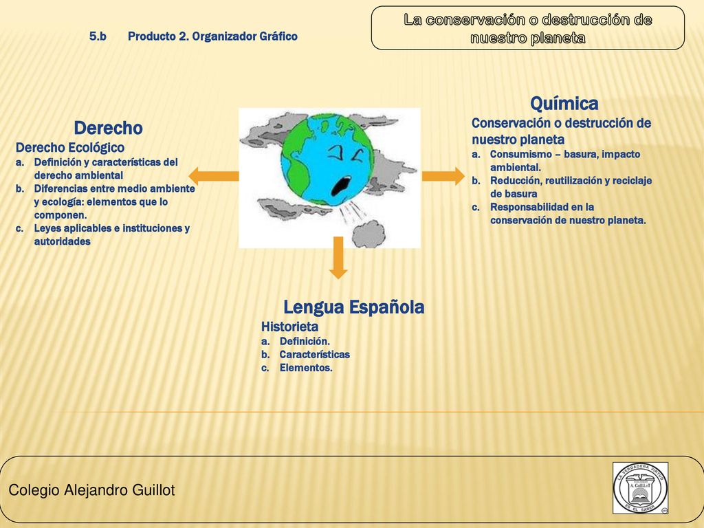 5.b Producto 2. Organizador Gráfico