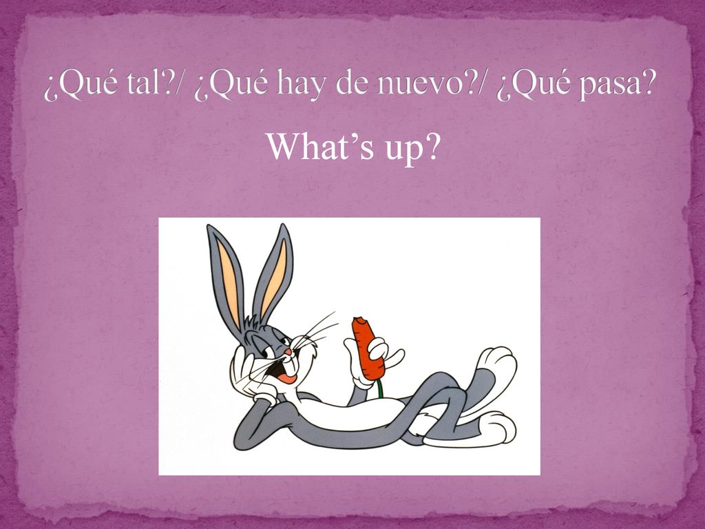 ¿Qué tal / ¿Qué hay de nuevo / ¿Qué pasa