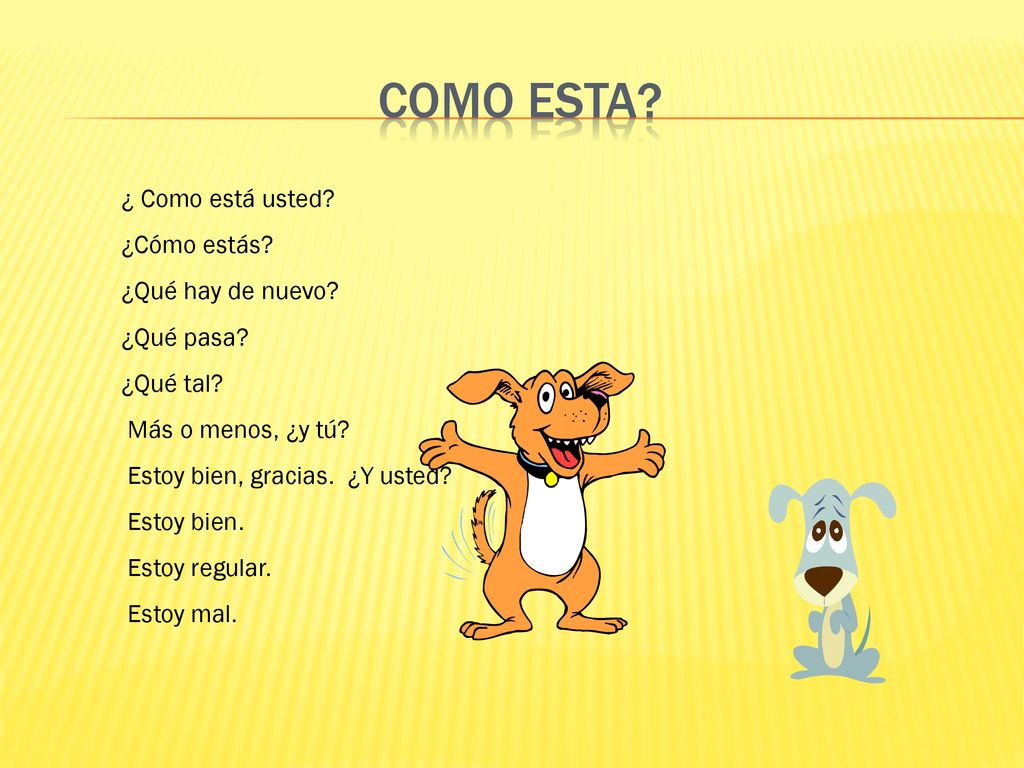 Como esta ¿ Como está usted ¿Cómo estás ¿Qué hay de nuevo