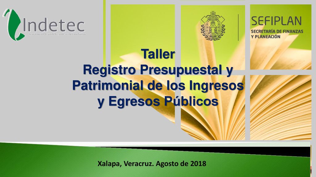 Registro Presupuestal y Patrimonial de los Ingresos y Egresos Públicos