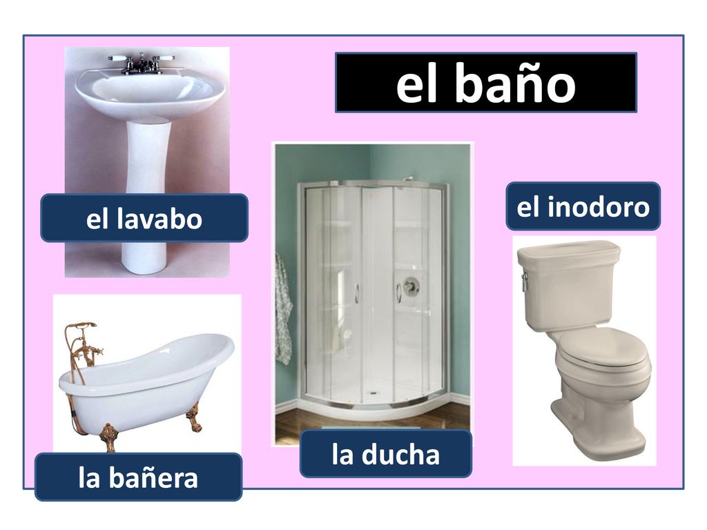 el baño el inodoro el lavabo la ducha la bañera