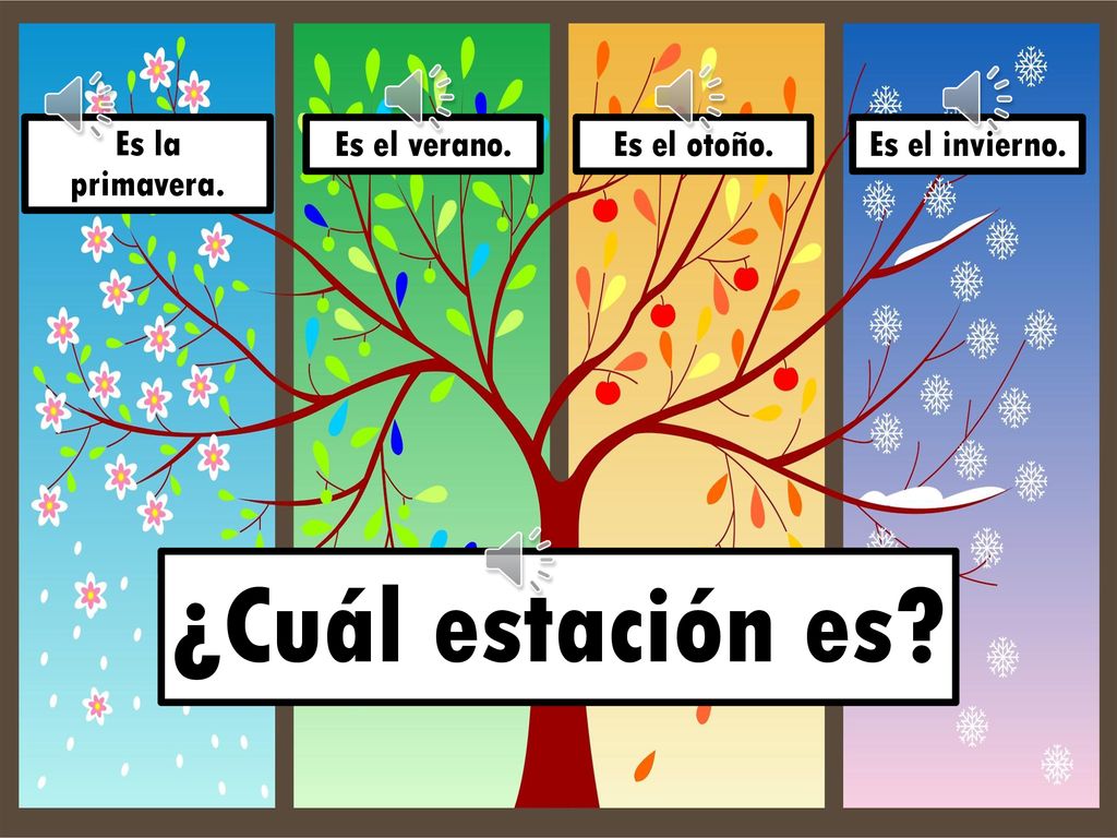 ¿Cuál estación es Es la primavera. Es la primavera. Es el verano.