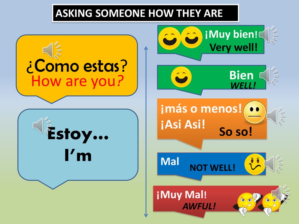 ¿Como estas Estoy… I’m How are you Bien ¡más o menos! ¡Asi Asi!