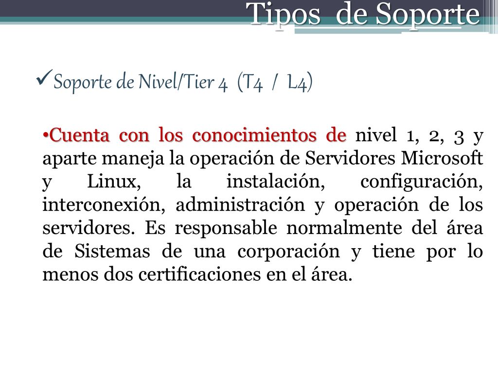 Tipos de Soporte Soporte de Nivel/Tier 4 (T4 / L4)