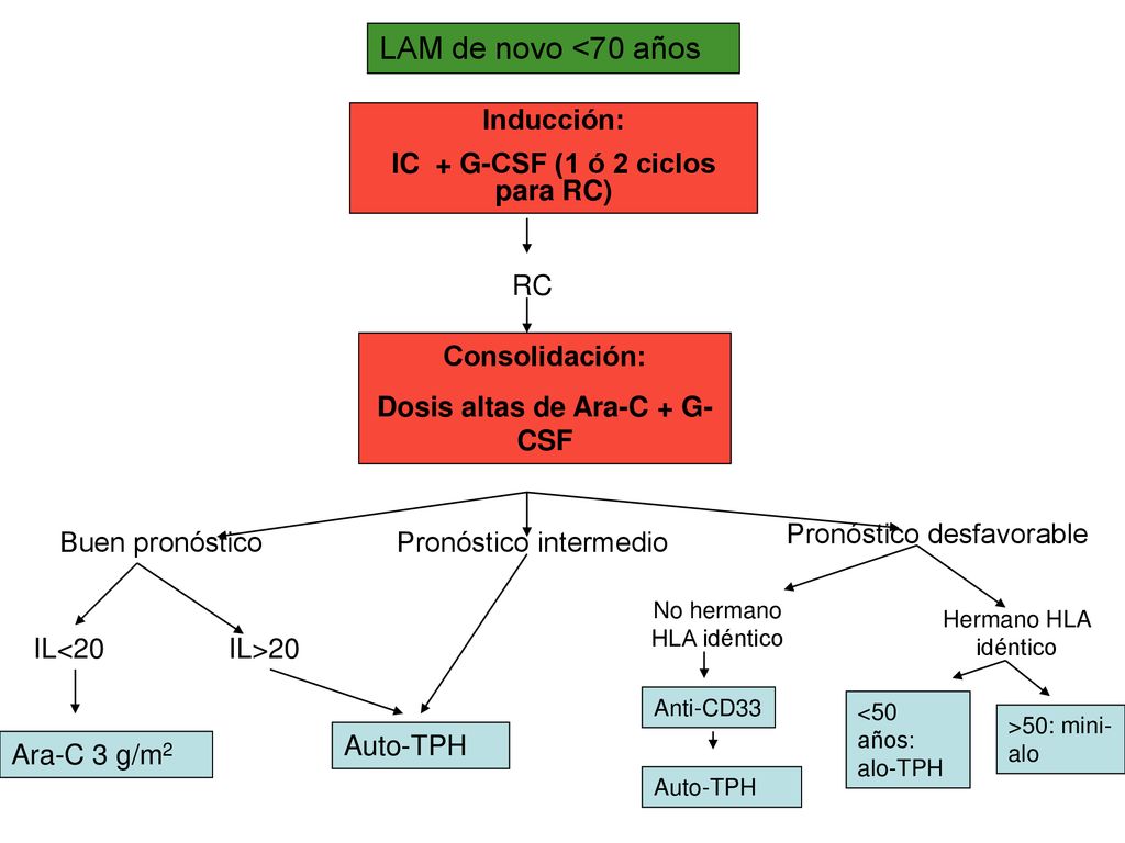 IC + G-CSF (1 ó 2 ciclos para RC) Dosis altas de Ara-C + G-CSF
