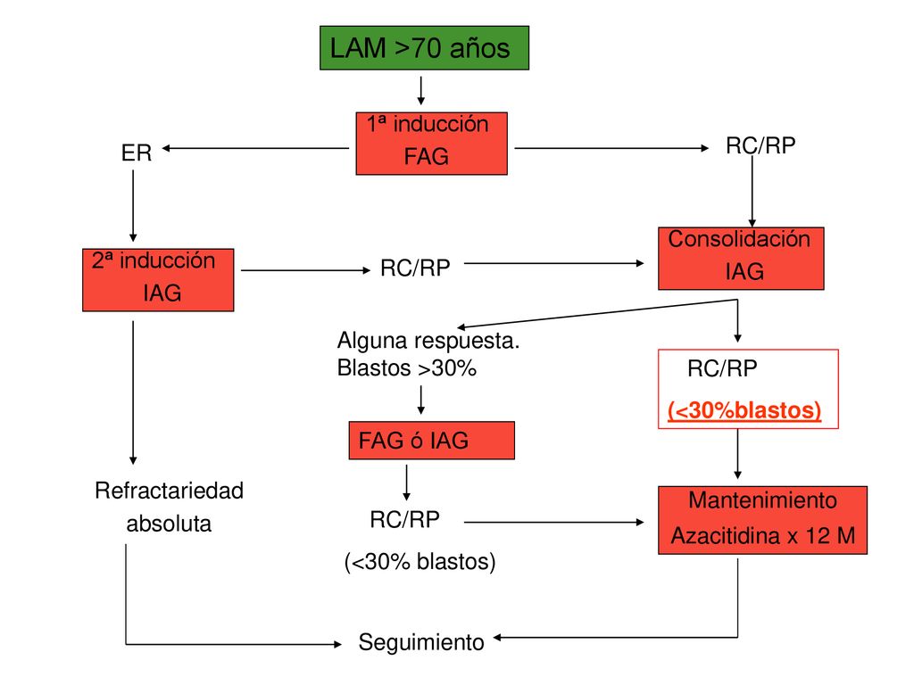 LAM >70 años 1ª inducción FAG RC/RP ER Consolidación IAG