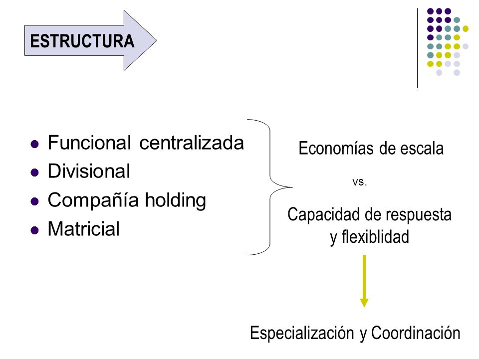 Funcional centralizada Divisional Compañía holding Matricial