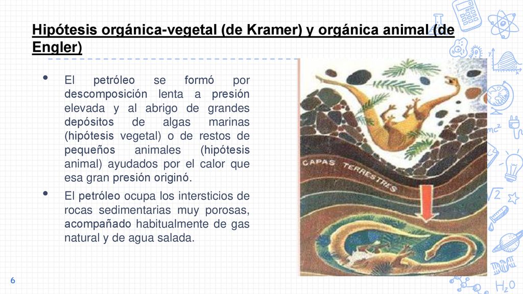 Hipótesis orgánica-vegetal (de Kramer) y orgánica animal (de Engler)