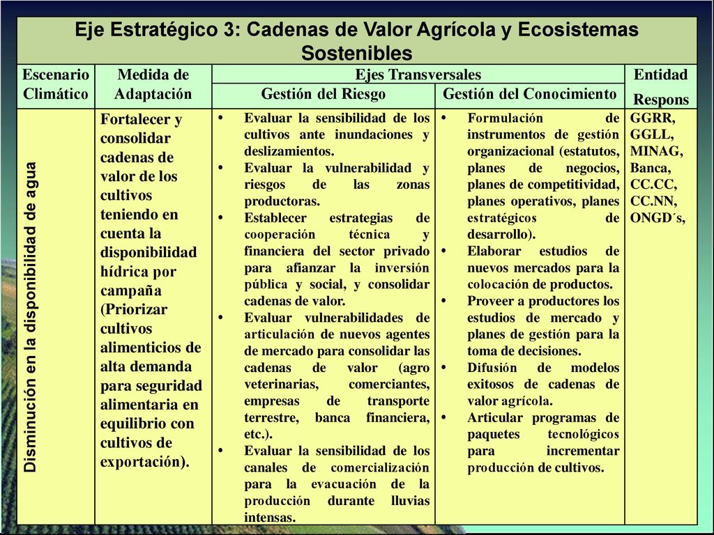 Eje Estratégico 3: Cadenas de Valor Agrícola y Ecosistemas Sostenibles