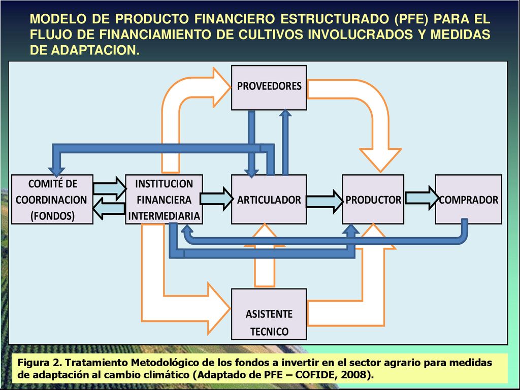 MODELO DE PRODUCTO FINANCIERO ESTRUCTURADO (PFE) PARA EL FLUJO DE FINANCIAMIENTO DE CULTIVOS INVOLUCRADOS Y MEDIDAS DE ADAPTACION.