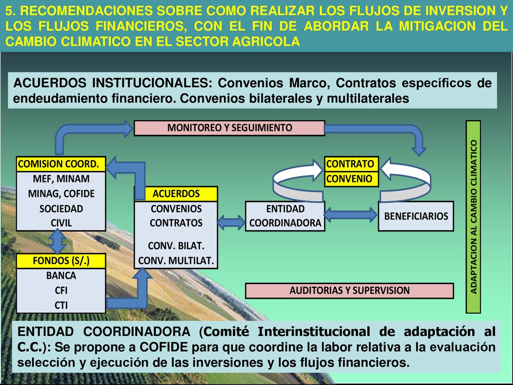 5. RECOMENDACIONES SOBRE COMO REALIZAR LOS FLUJOS DE INVERSION Y LOS FLUJOS FINANCIEROS, CON EL FIN DE ABORDAR LA MITIGACION DEL CAMBIO CLIMATICO EN EL SECTOR AGRICOLA