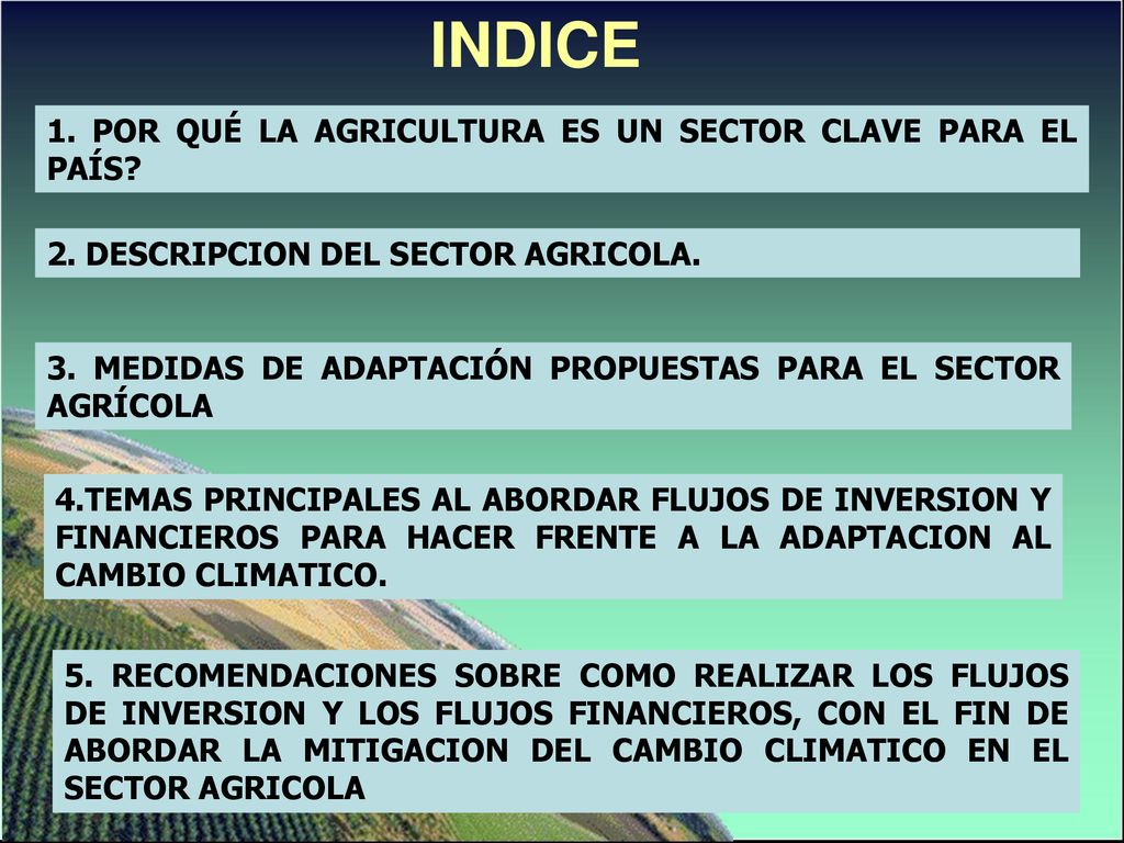 INDICE 1. POR QUÉ LA AGRICULTURA ES UN SECTOR CLAVE PARA EL PAÍS