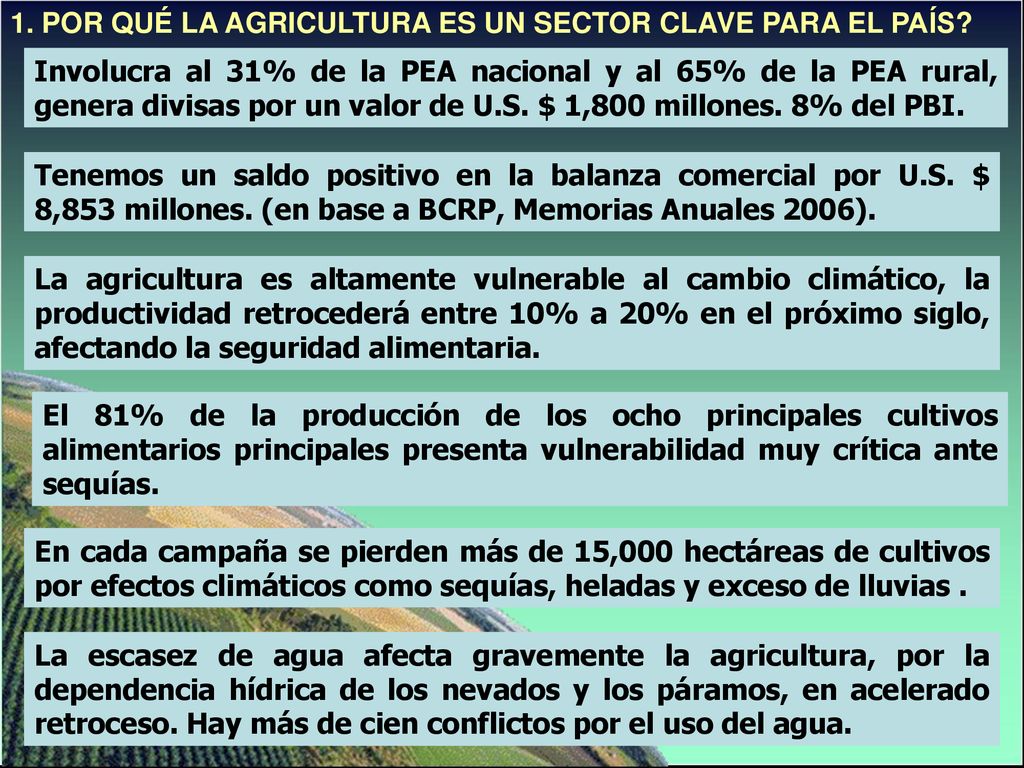 1. POR QUÉ LA AGRICULTURA ES UN SECTOR CLAVE PARA EL PAÍS