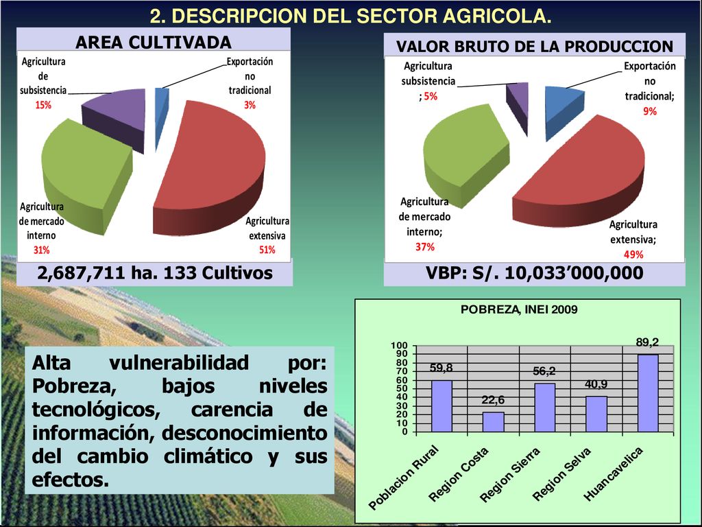 2. DESCRIPCION DEL SECTOR AGRICOLA. VALOR BRUTO DE LA PRODUCCION