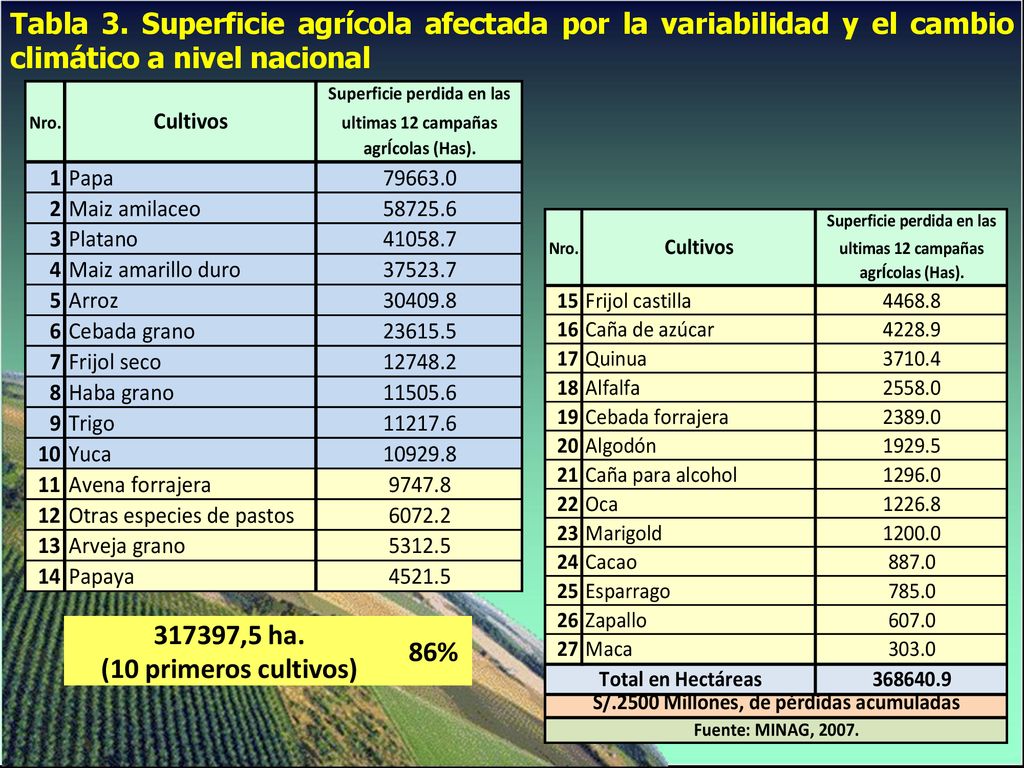 Tabla 3. Superficie agrícola afectada por la variabilidad y el cambio climático a nivel nacional