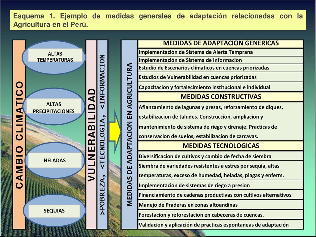 Esquema 1. Ejemplo de medidas generales de adaptación relacionadas con la Agricultura en el Perú.