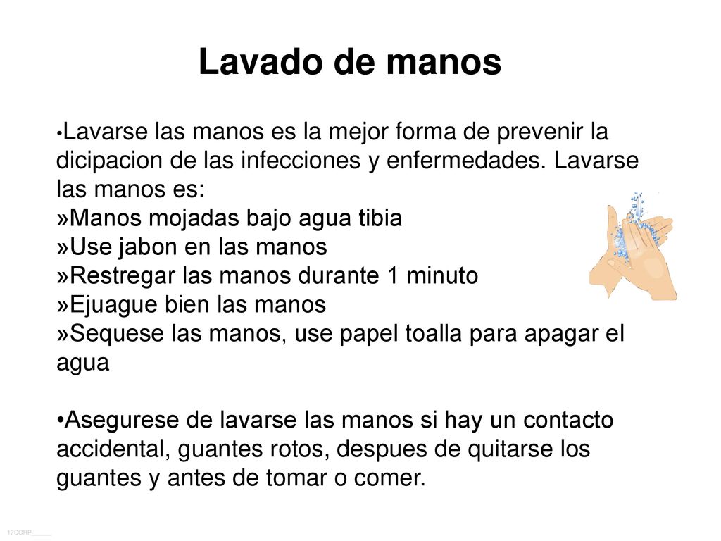 Lavado de manos »Manos mojadas bajo agua tibia »Use jabon en las manos