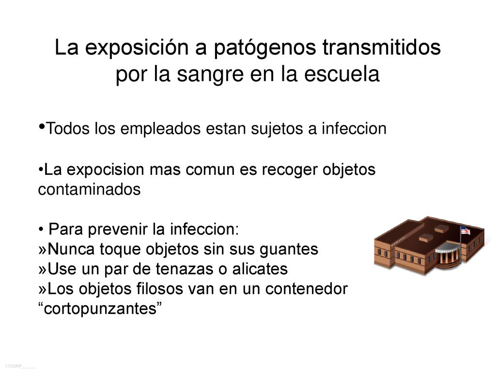 La exposición a patógenos transmitidos por la sangre en la escuela