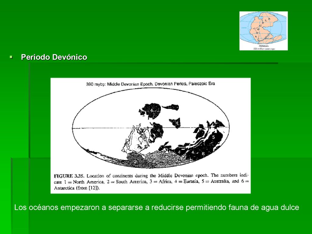 Periodo Devónico Los océanos empezaron a separarse a reducirse permitiendo fauna de agua dulce