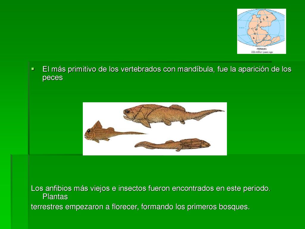 El más primitivo de los vertebrados con mandíbula, fue la aparición de los peces