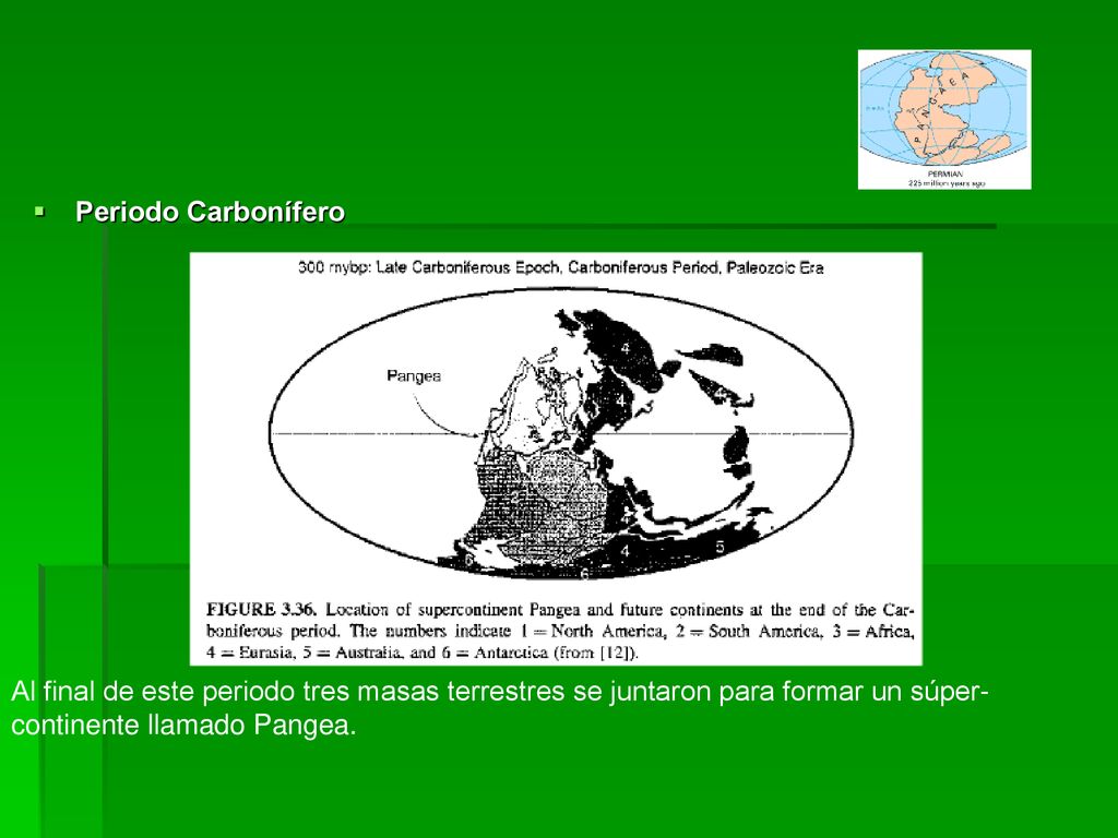 Periodo Carbonífero Al final de este periodo tres masas terrestres se juntaron para formar un súper-continente llamado Pangea.