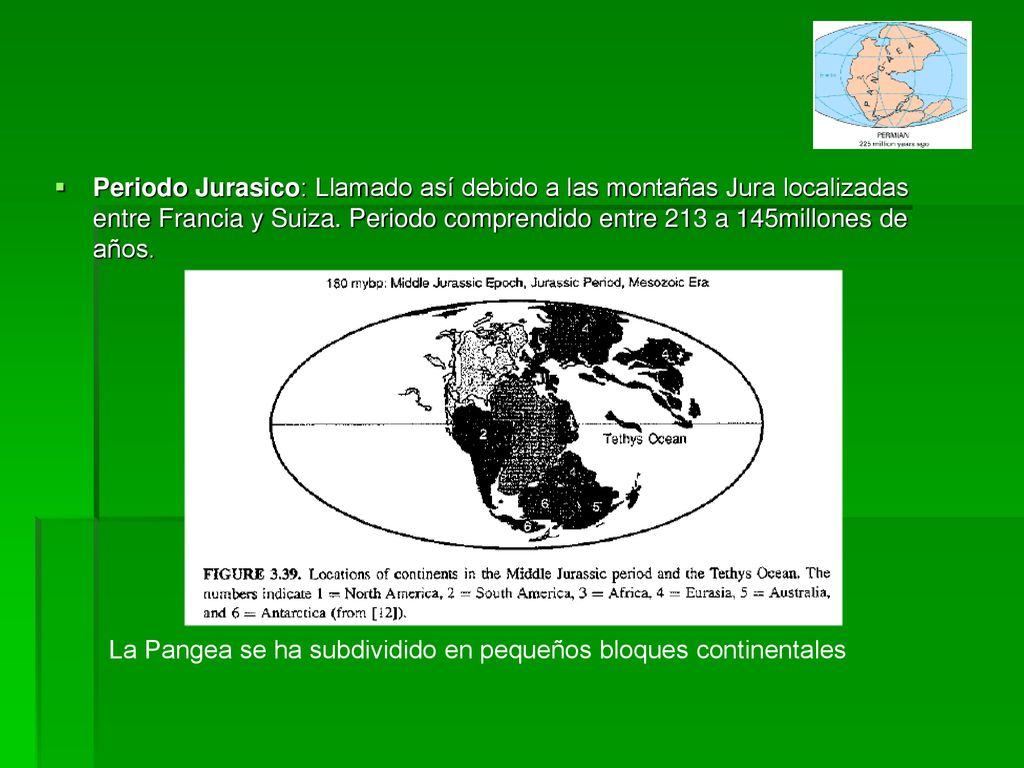 Periodo Jurasico: Llamado así debido a las montañas Jura localizadas entre Francia y Suiza. Periodo comprendido entre 213 a 145millones de años.