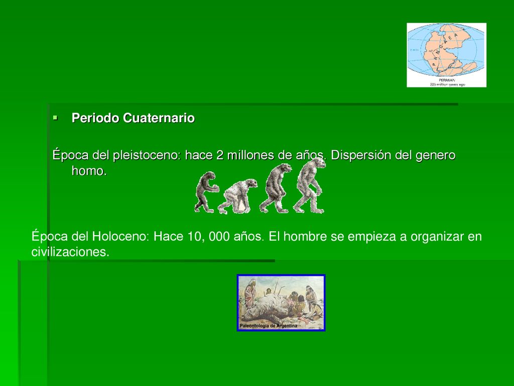 Periodo Cuaternario Época del pleistoceno: hace 2 millones de años. Dispersión del genero homo.