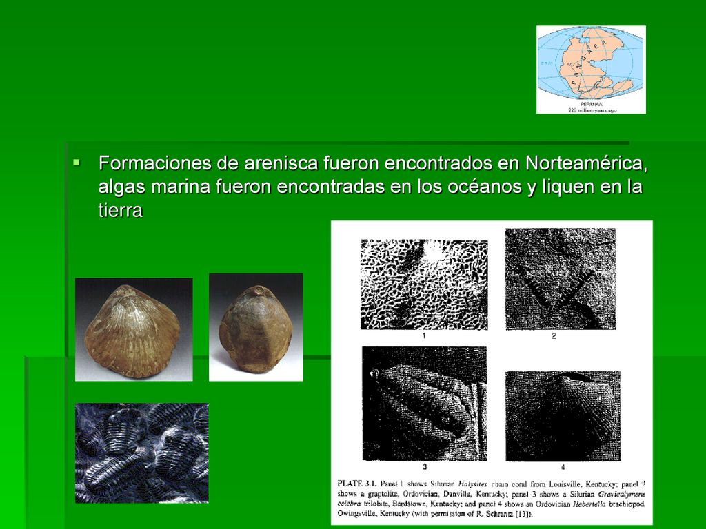 Formaciones de arenisca fueron encontrados en Norteamérica, algas marina fueron encontradas en los océanos y liquen en la tierra