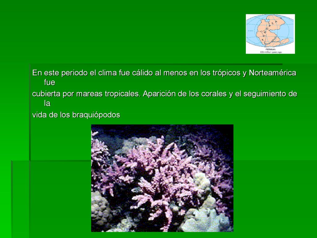 En este periodo el clima fue cálido al menos en los trópicos y Norteamérica fue