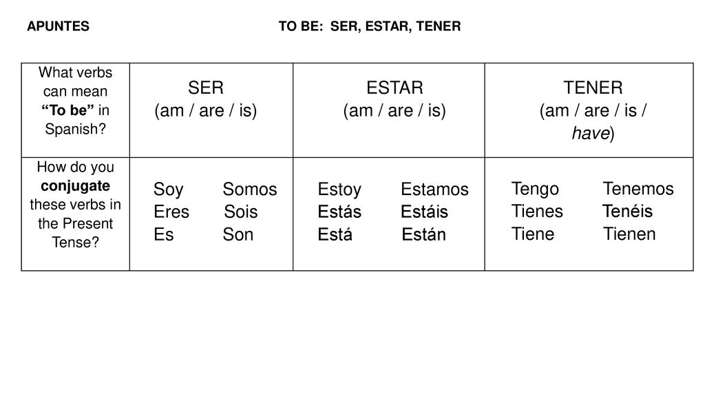 How do you conjugate these verbs in the Present Tense
