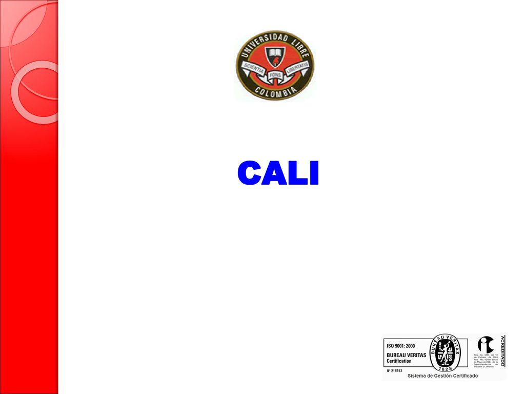 CALI 89 89