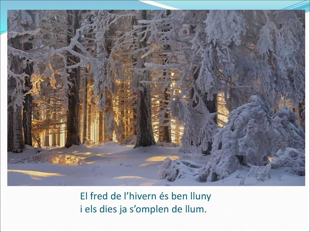 El fred de l’hivern és ben lluny i els dies ja s’omplen de llum.