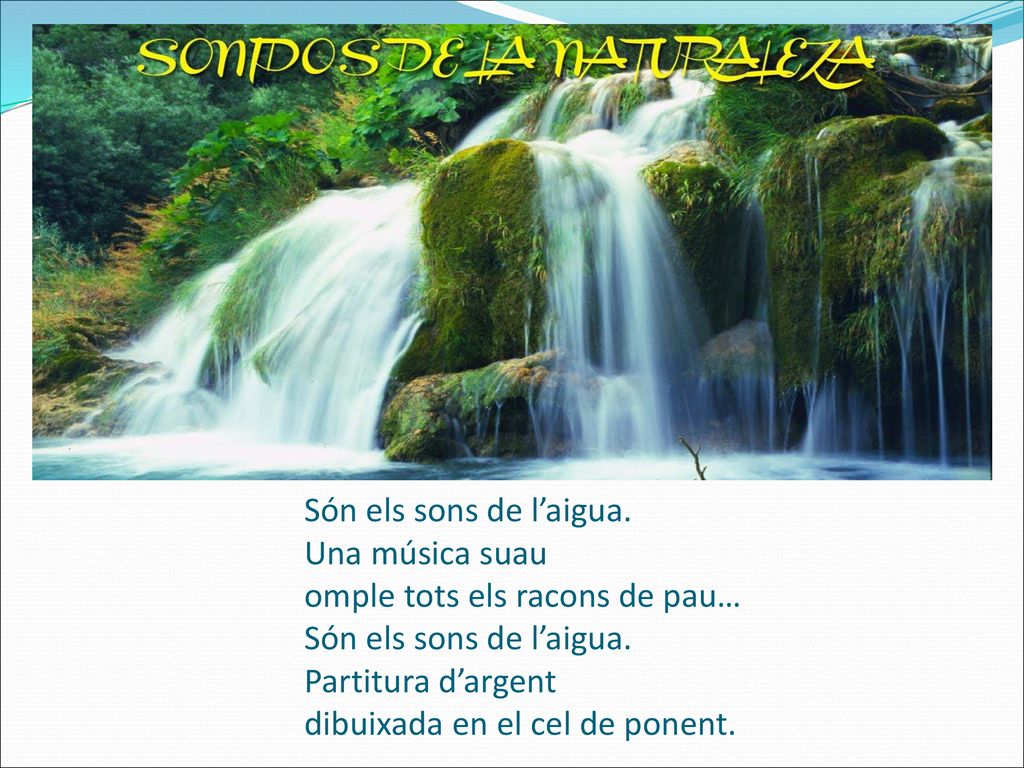 Són els sons de l’aigua. Una música suau omple tots els racons de pau… Són els sons de l’aigua.