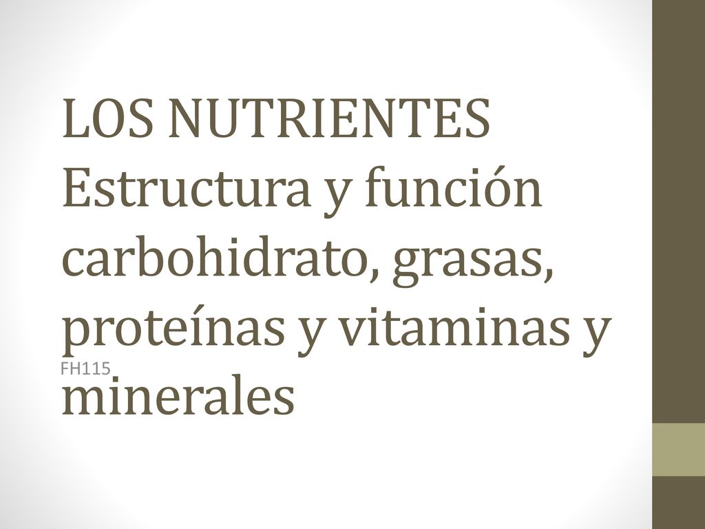 LOS NUTRIENTES Estructura y función carbohidrato, grasas, proteínas y vitaminas y minerales
