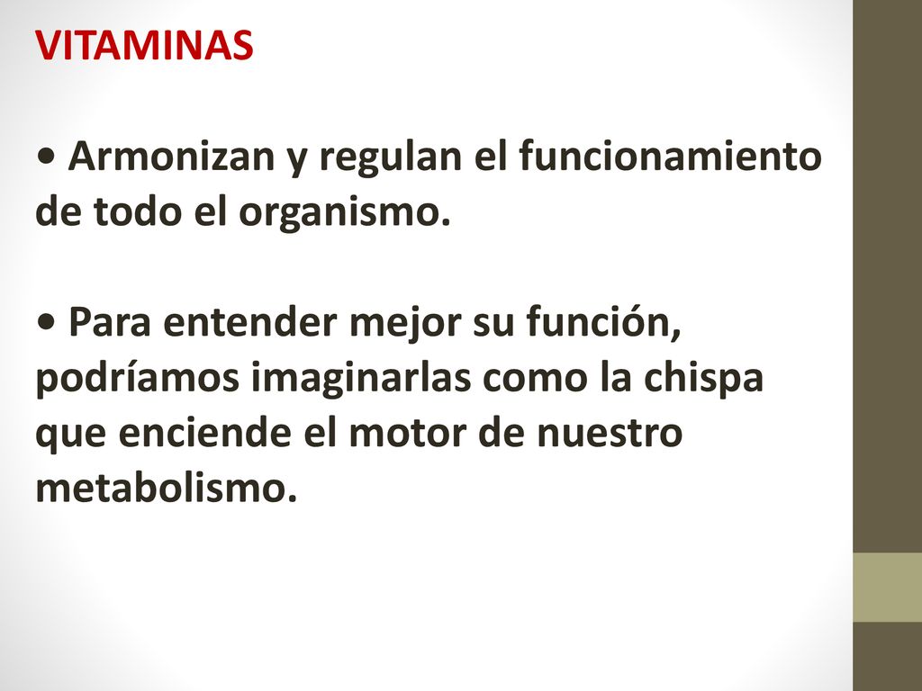 VITAMINAS • Armonizan y regulan el funcionamiento de todo el organismo.